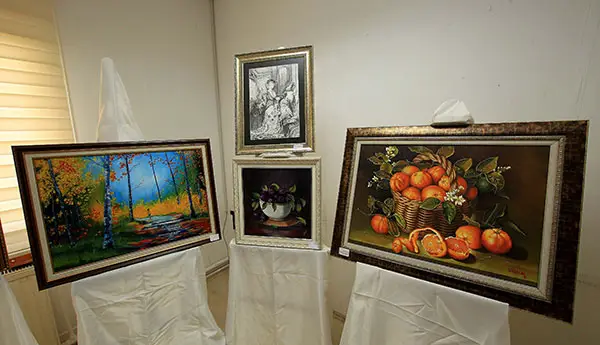 Çankaya Evleri